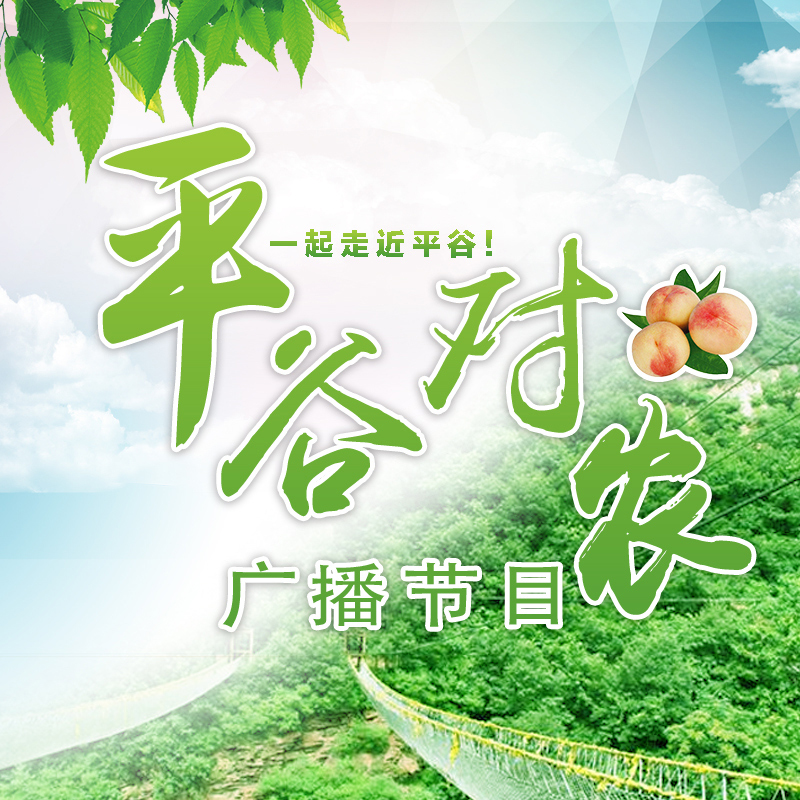 平谷对农广播节目