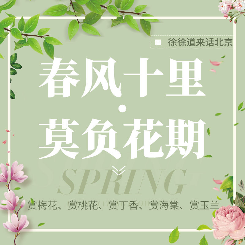 春风十里·莫负花期