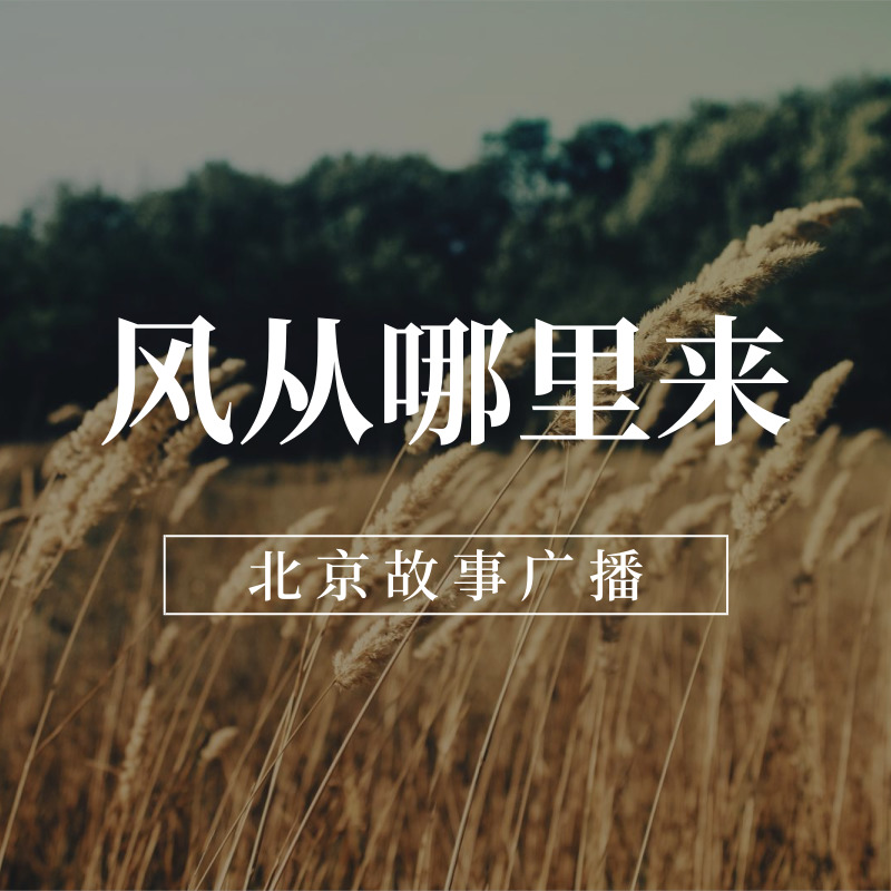 风从哪里来