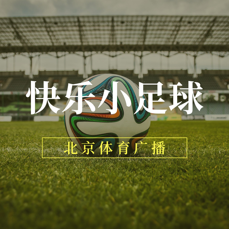 快乐小足球