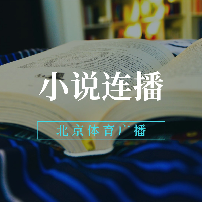 小说连播