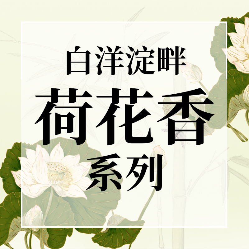 白洋淀畔荷花香系列