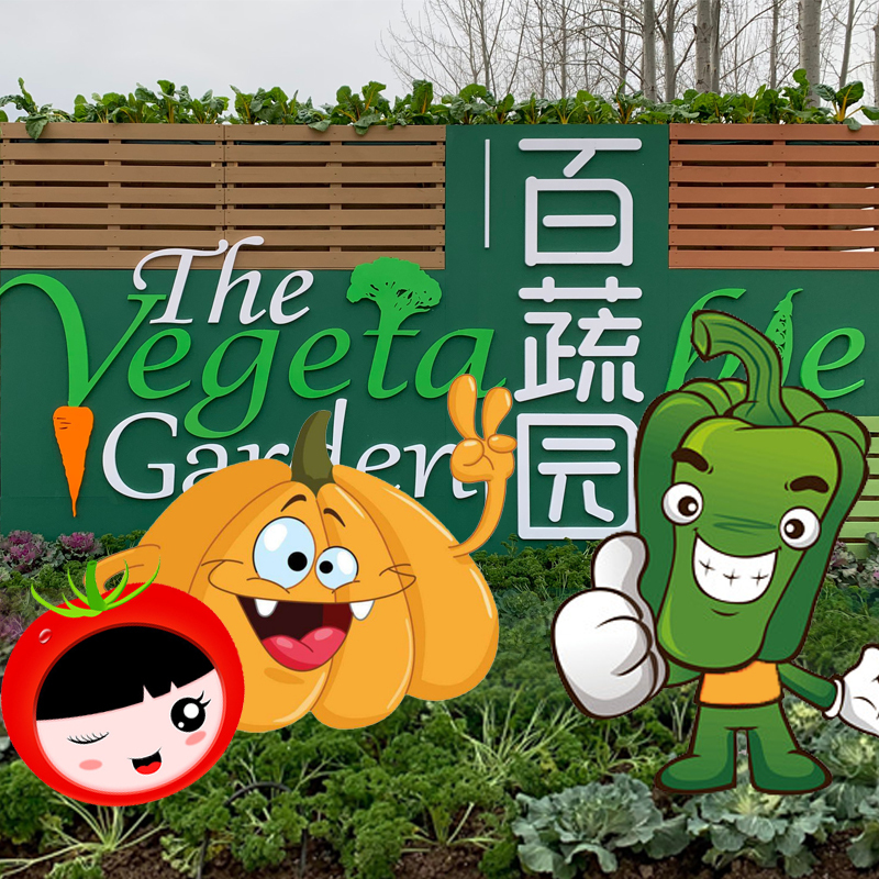 百蔬园里的秘密