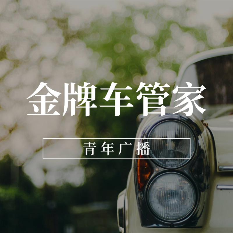 金牌车管家