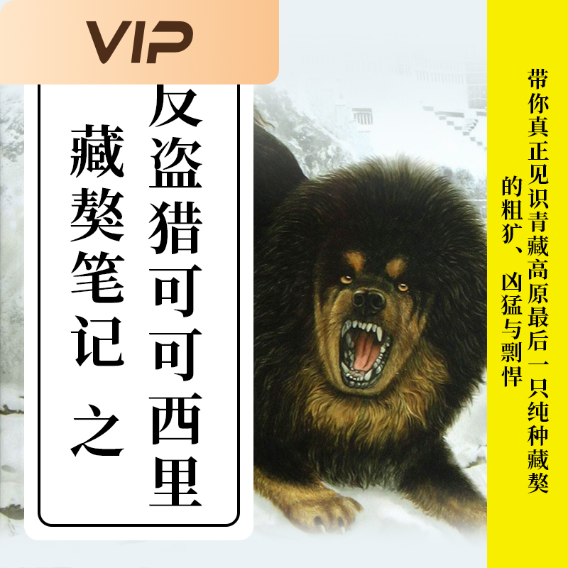 藏獒笔记之反盗猎可可西里