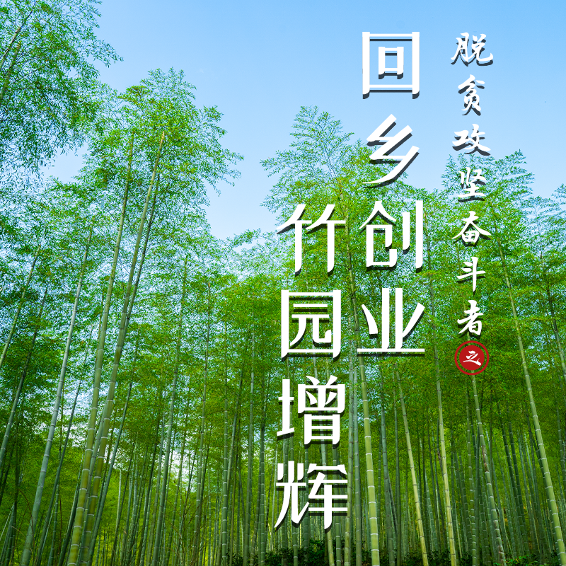 脱贫攻坚奋斗者之：回乡创业竹园增辉