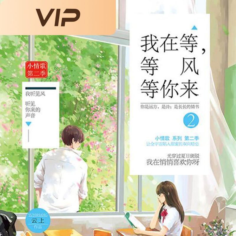 我在等，等风等你来·第2部