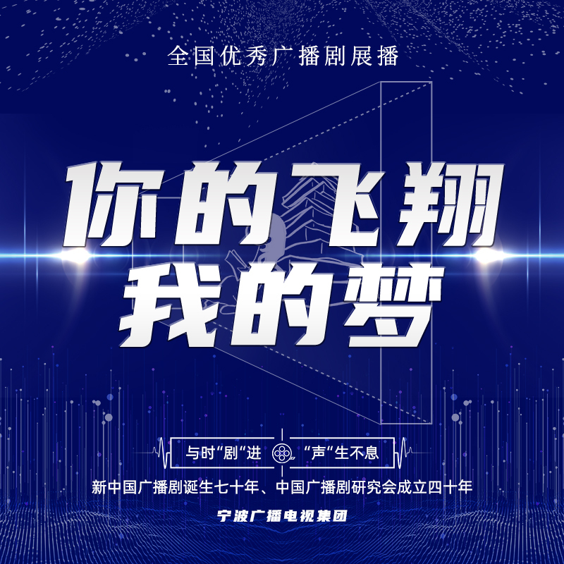 你的飞翔我的梦