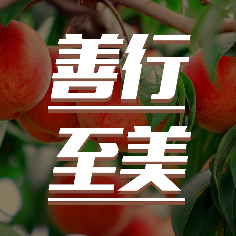 平谷融媒-善行至美