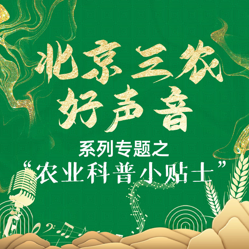 农业科普小贴士