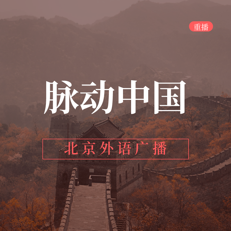 脉动中国(重播)