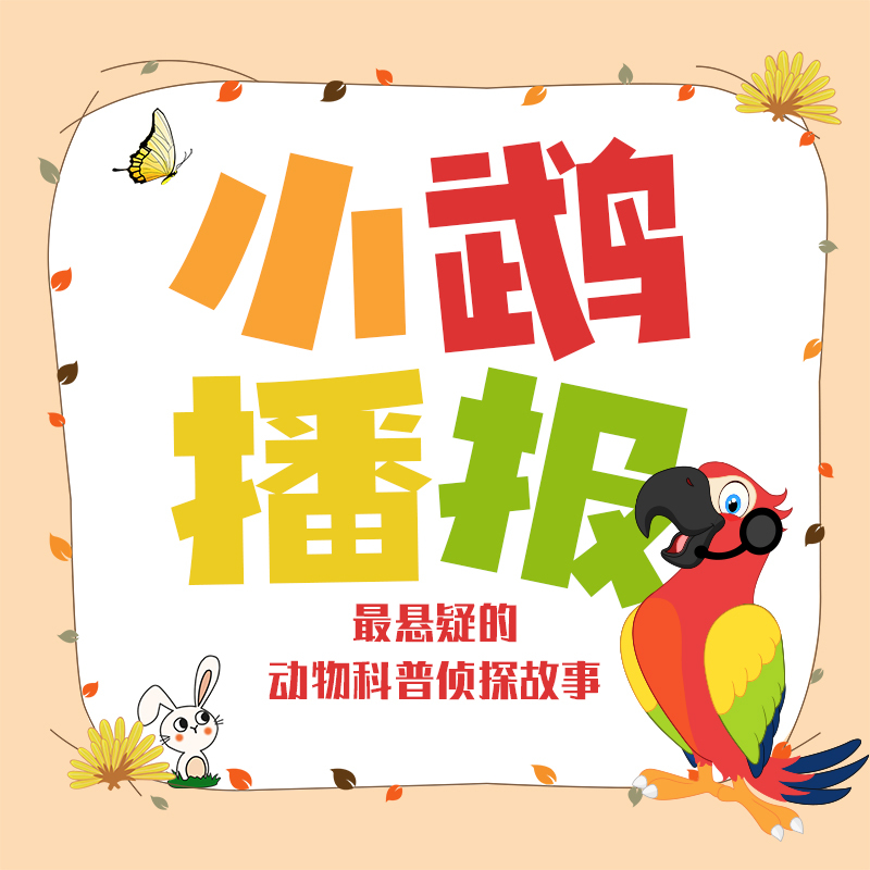 《小鹉播报》第一季