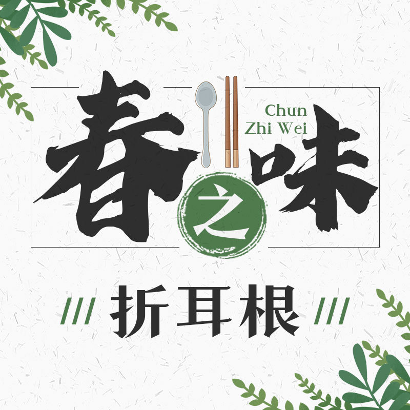 春之味：折耳根（鱼腥草）