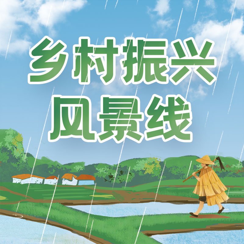 乡村振兴风景线(重播)