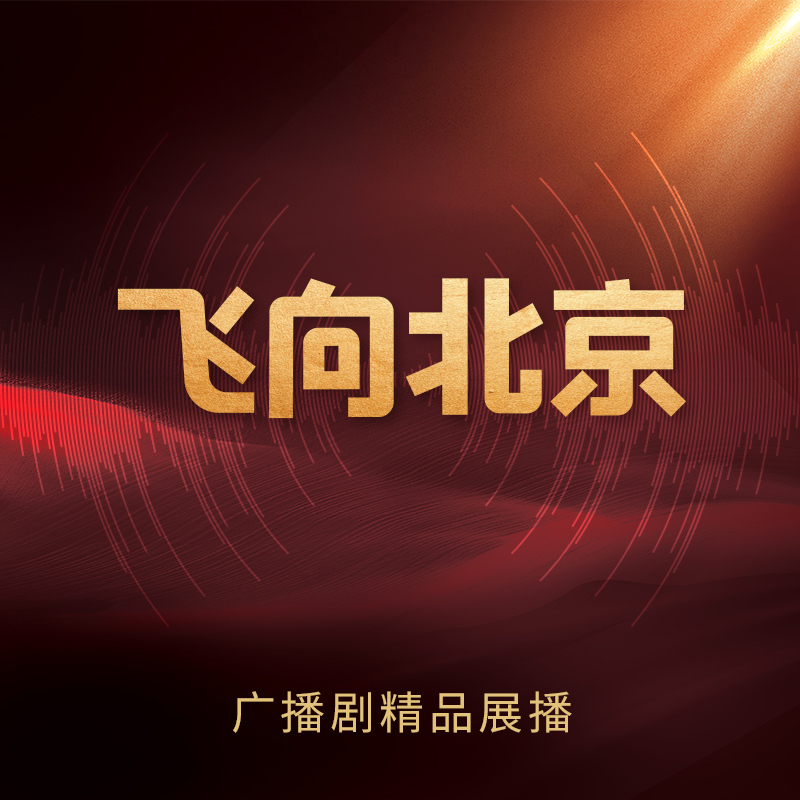 飞向北京