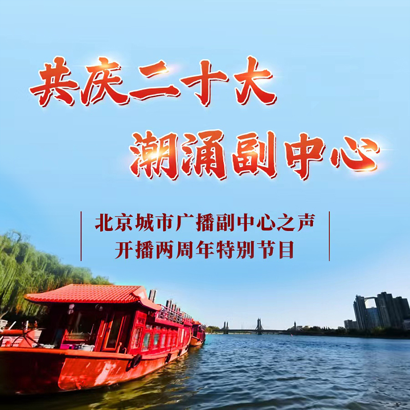 共庆二十大，潮涌副中心