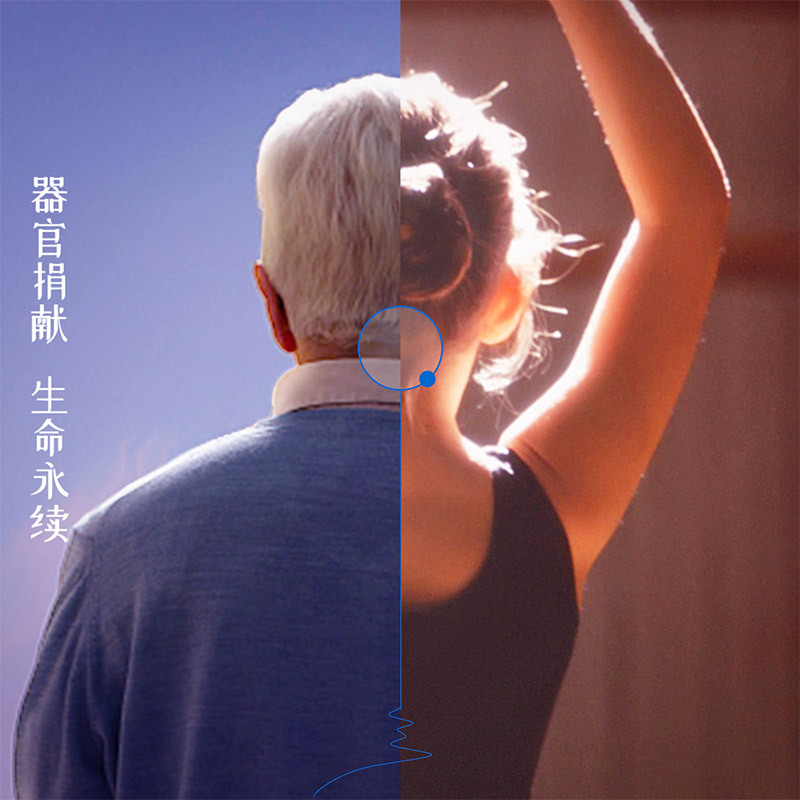 生命接力：袖珍男孩陈彬的故事