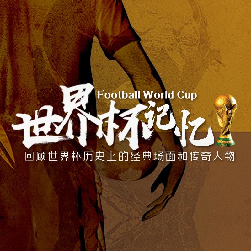 世界杯记忆