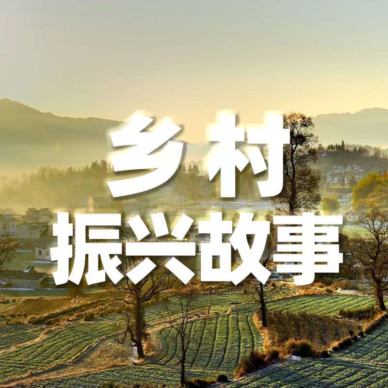 乡村振兴故事