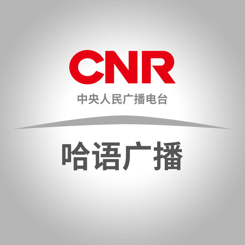 新视线（重播）