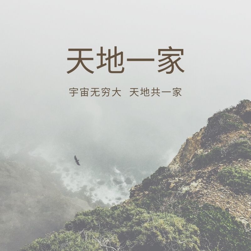 天地一家（典藏版）