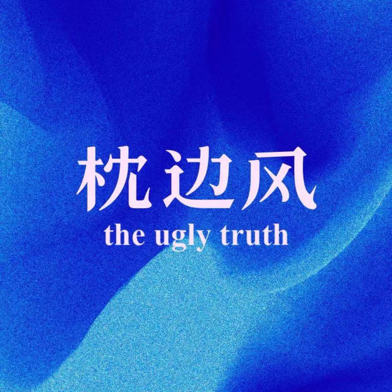 枕边风 TheUglyTruth