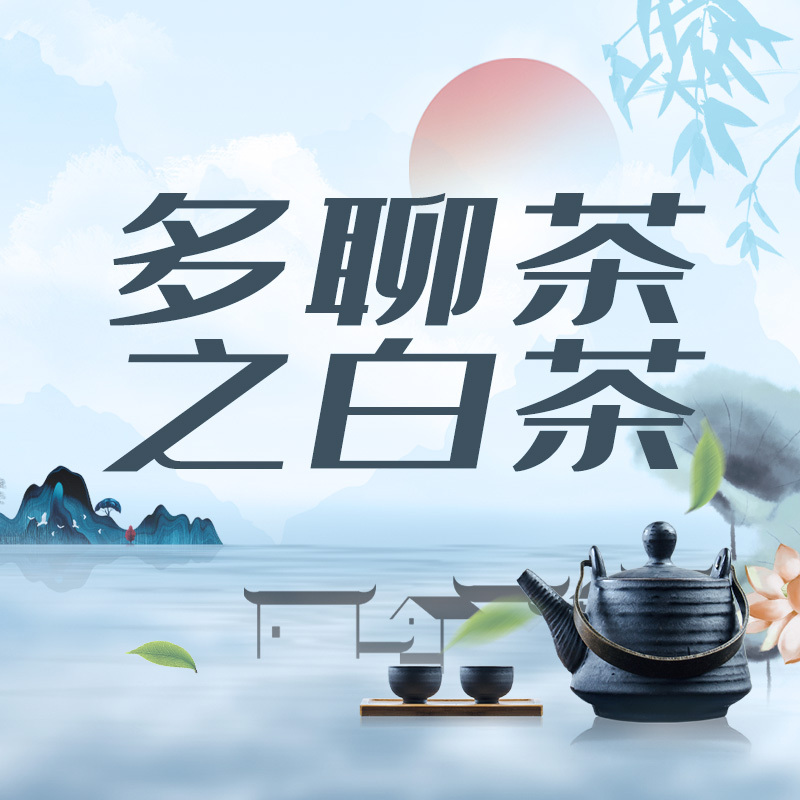 多聊茶之白茶