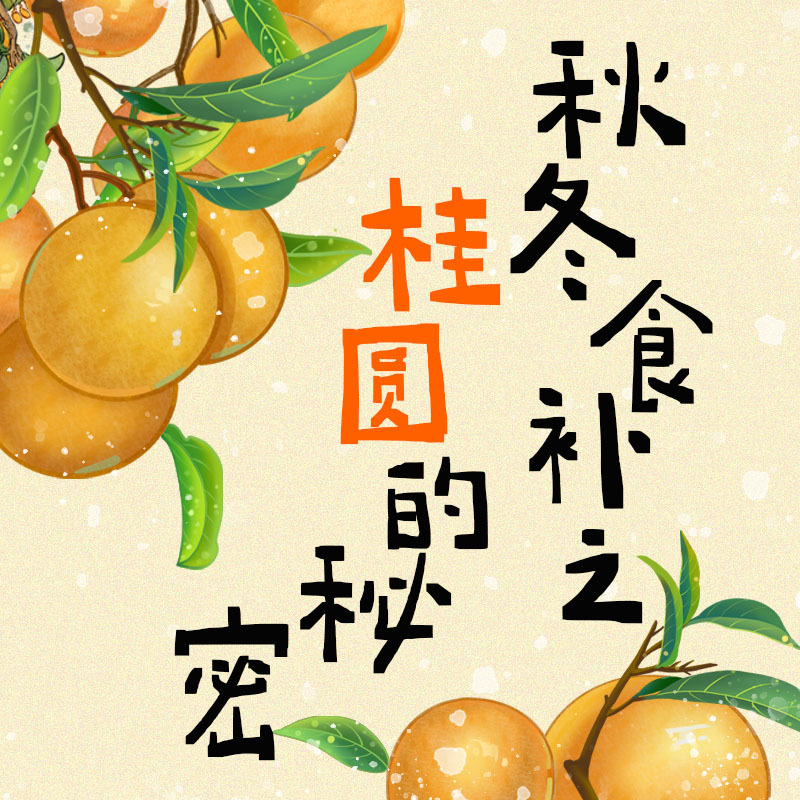 秋冬食补之桂圆