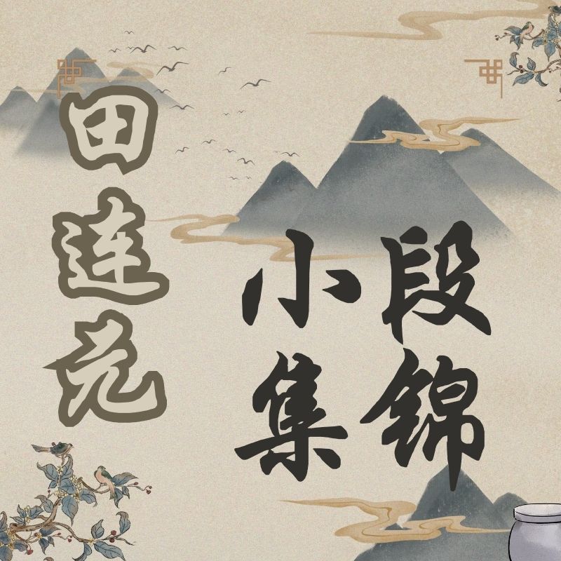 田连元小段锦集