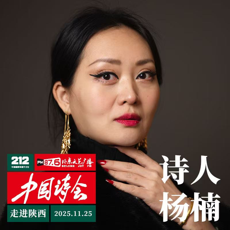 212·中国诗会“走进陕西”——杨楠作品