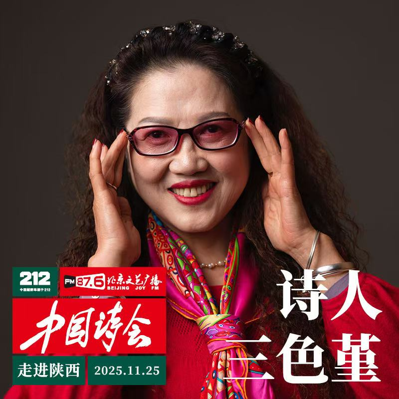 212·中国诗会“走进陕西”—三色堇作品