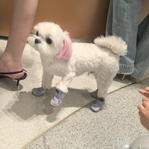 快乐足球00
